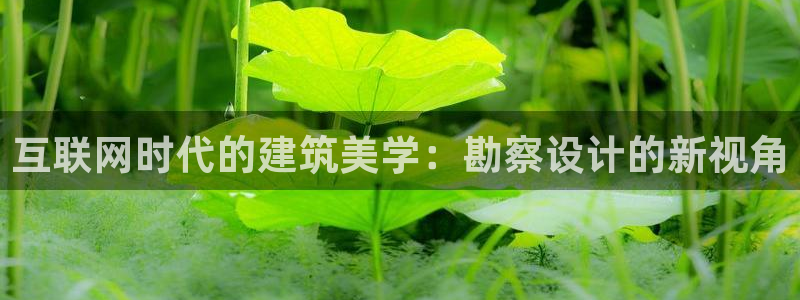 九游会黑人