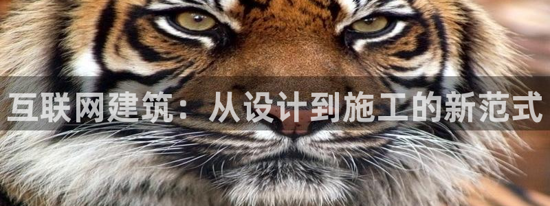 九游会官网首页登录