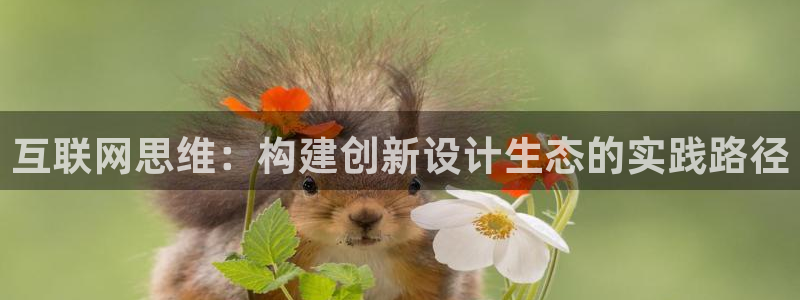 j9九游会官网