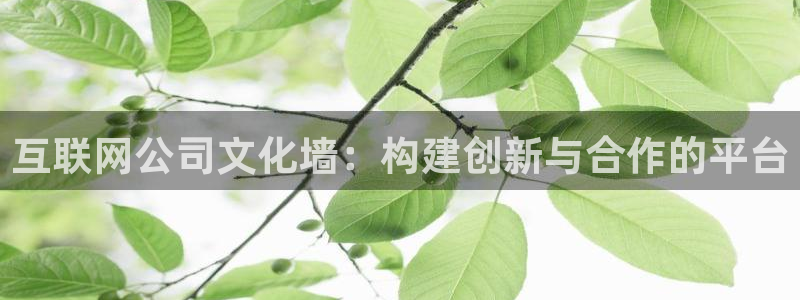 亚洲AG九游会