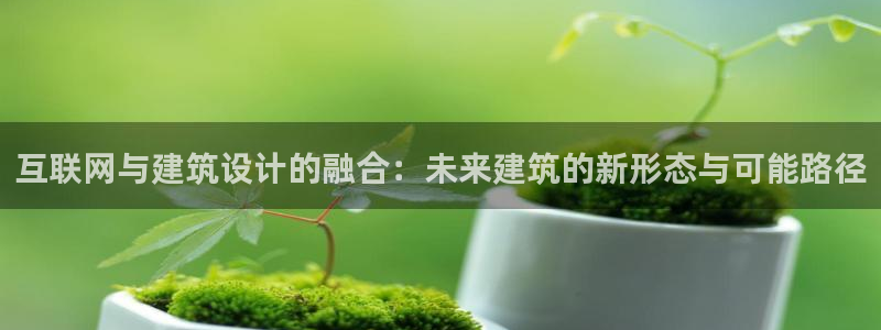 ag代理九游会