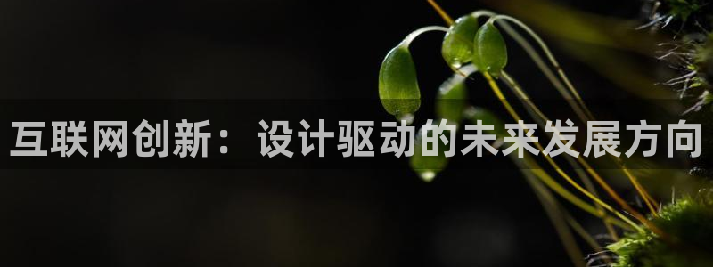 九游会棋牌牌