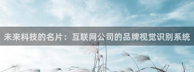 灯游会九门