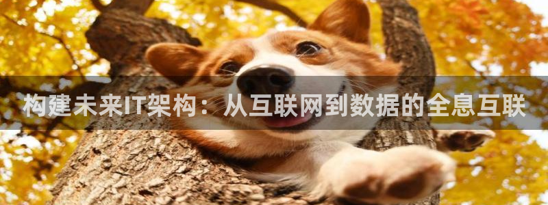 九游会登陆页面：构建未来IT架