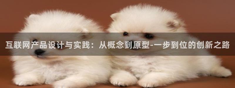 j9九游会备用网站：互联网产品