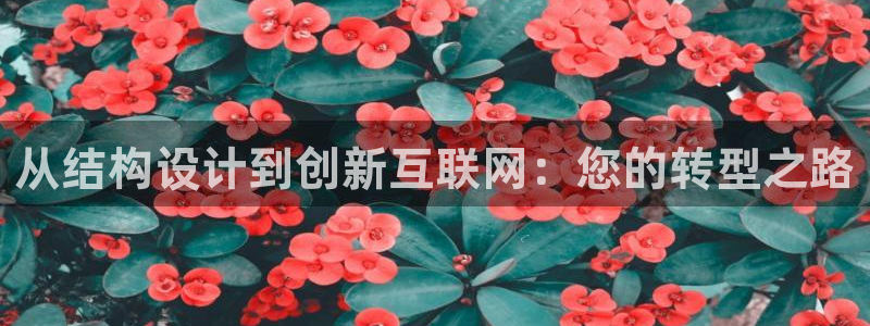 九游会dg：从结构设计到创新互