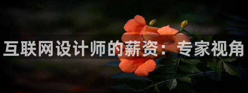 九游会真人品牌：互联网设计师的