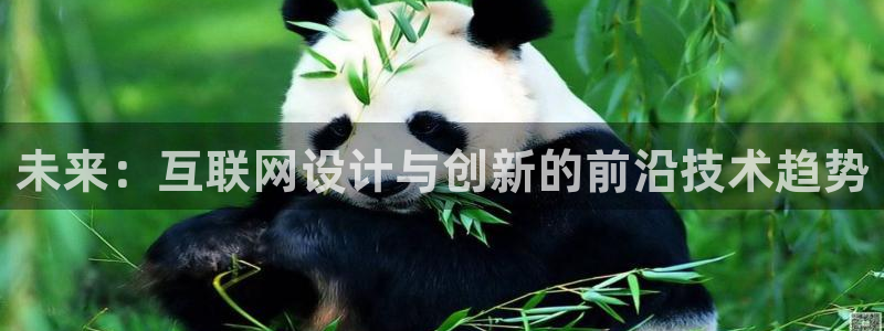 九游会官方登录：未来：互联网设