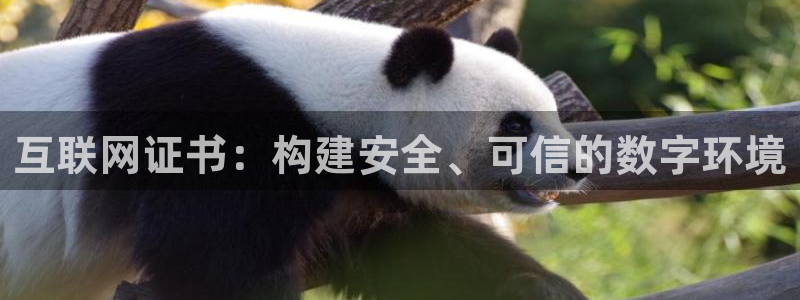 九游会 ag：互联网证书：构建