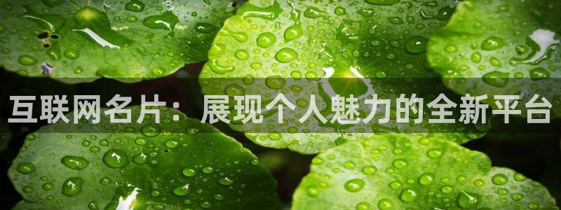 九游会3668