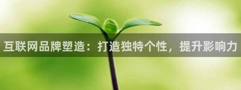 河曲灯游会九门的寓意