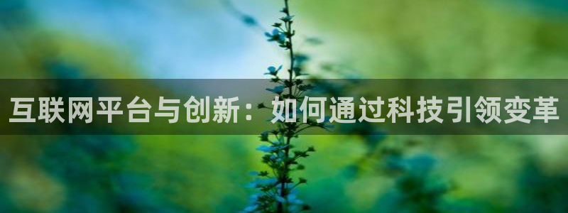 河曲九曲黄河灯游会作文