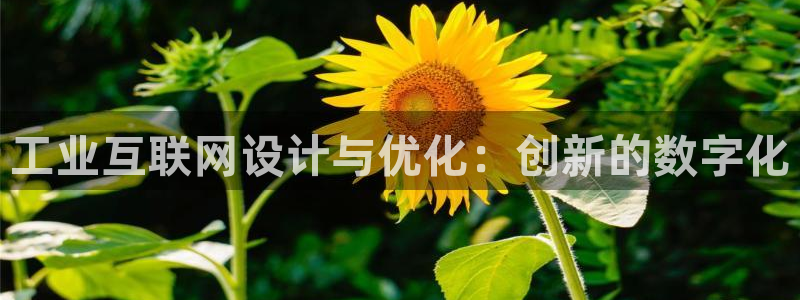九游会手机登陆吗