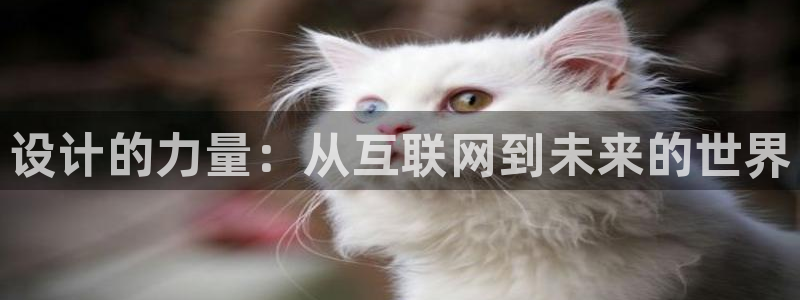 九游会b