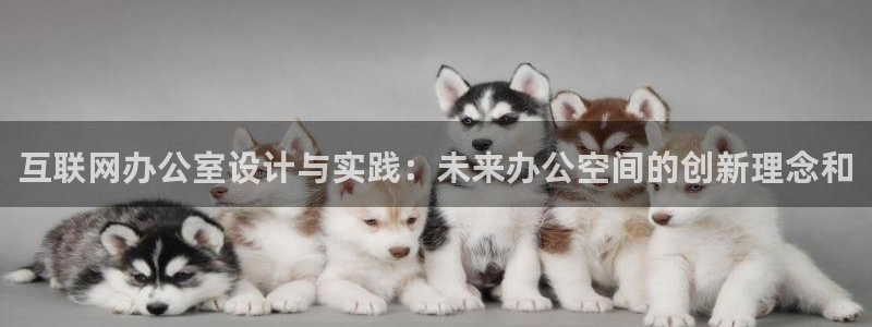 九游会备用网址