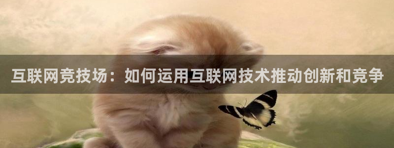 新版九游会