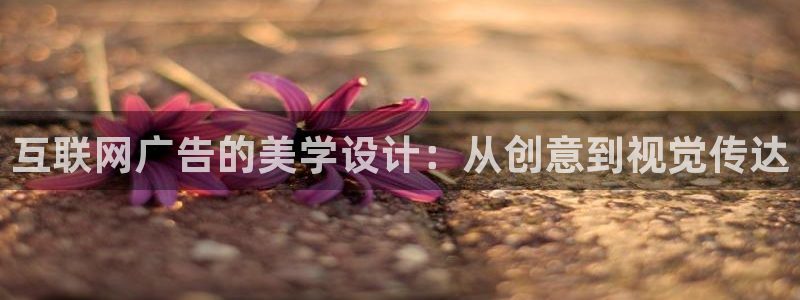 泰国九游会