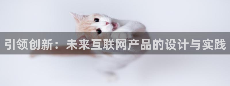 九游会 官网ag