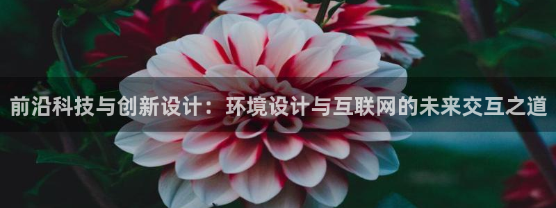 ga九游会