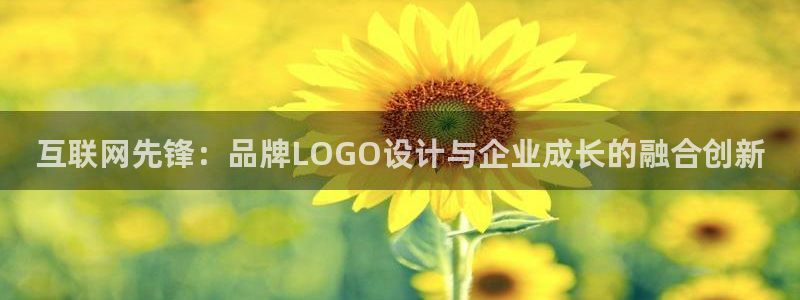 九游会私享