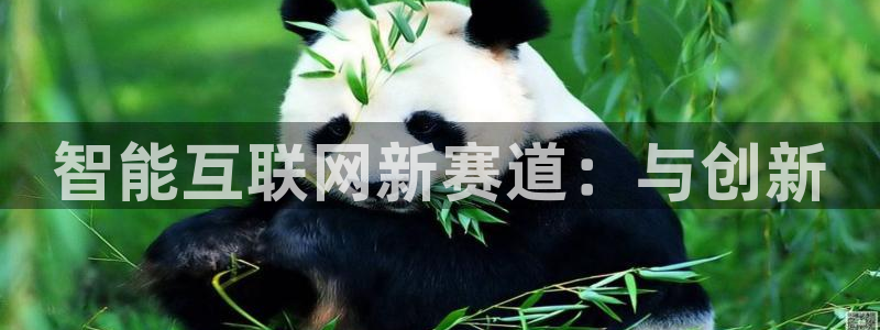 九游老哥会：智能互联网新赛道：