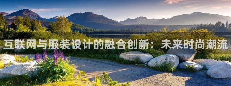 九游会怎么进入：互联网与服装设