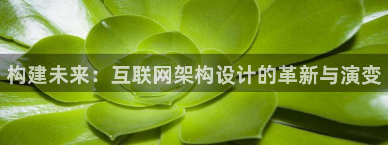 九游会老板是谁