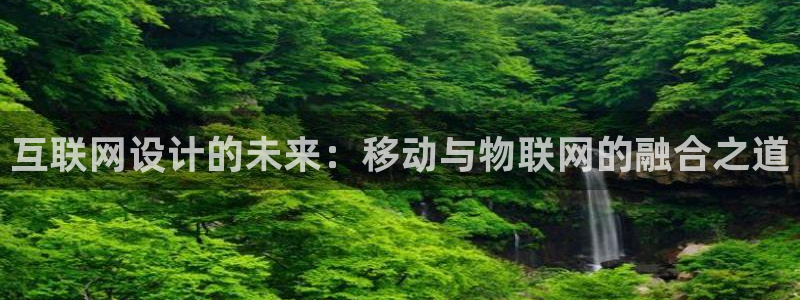 九游会安全码：互联网设计的未来