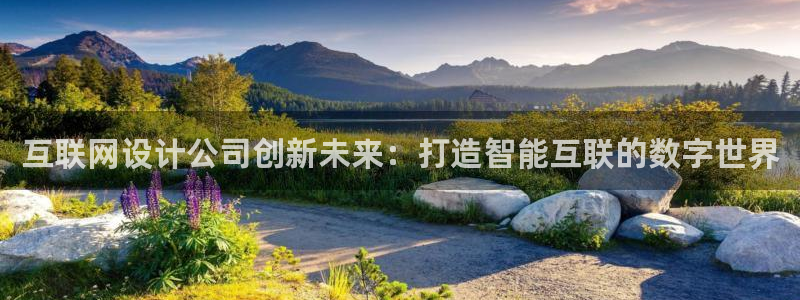 九游会新版平台：互联网设计公司