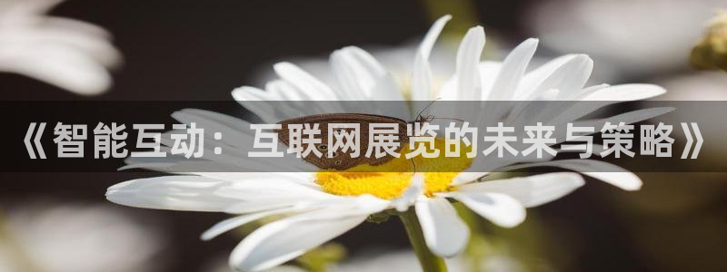 亚洲九游会：《智能互动：互联网