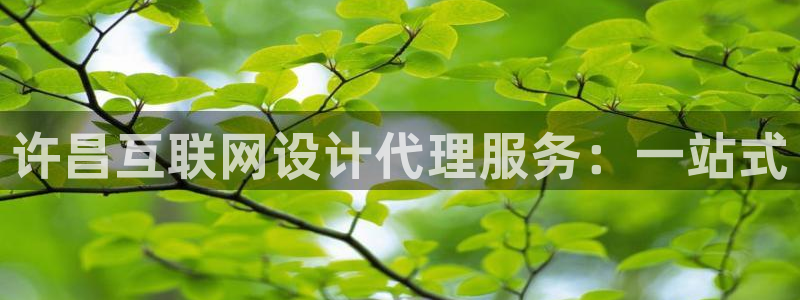 九游会备用线路