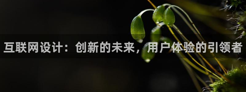 九游会游戏官网下载安装