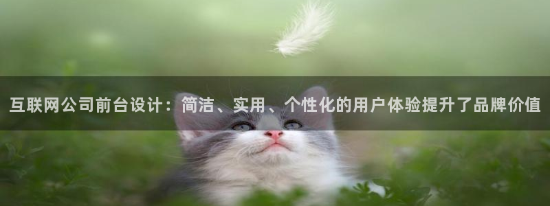 担保网九游会