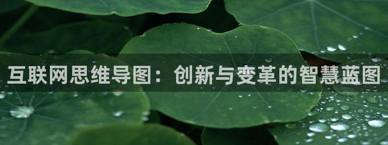 九游会j9论坛