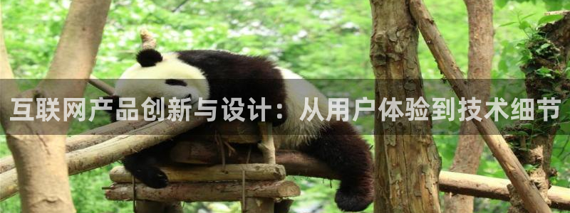 九游会与俄罗斯专享会