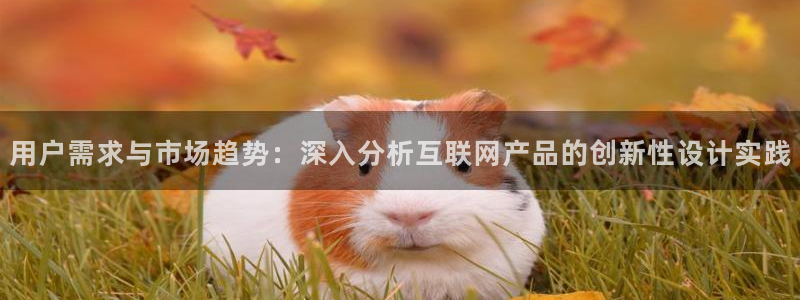 九游会网页版官网下载