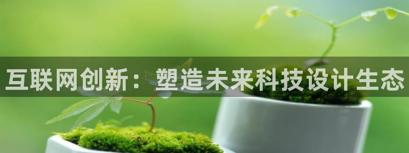 ag九游会线路：互联网创新：塑