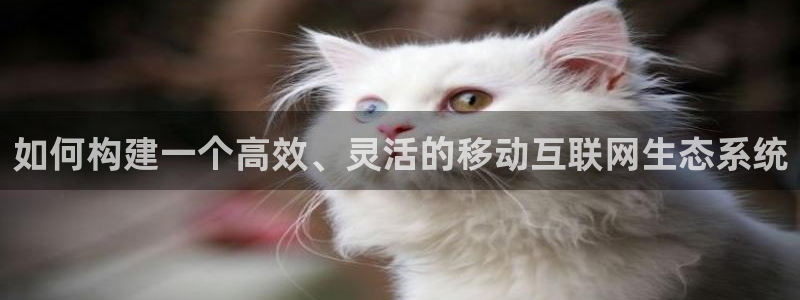 九游会备用线路