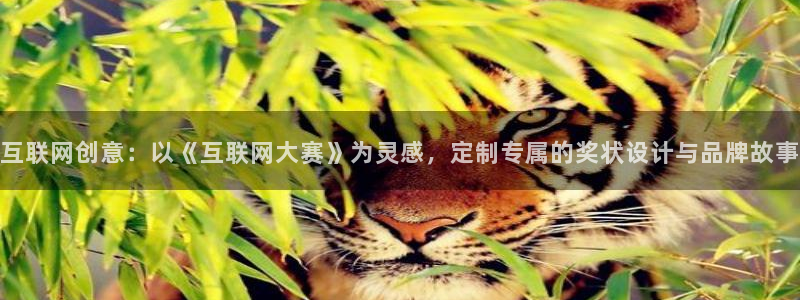 九游会真人游戏第一品牌：互联网