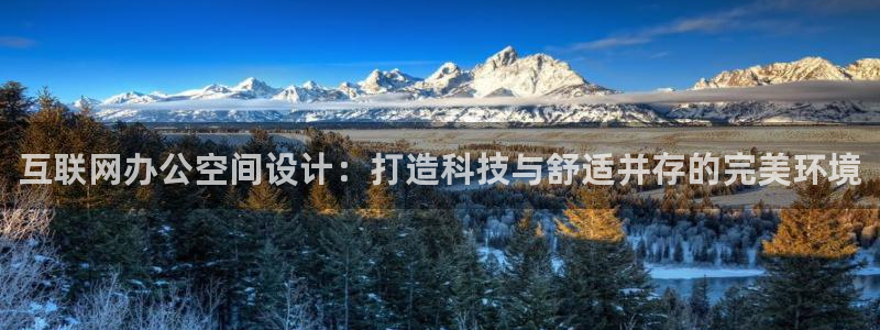 j9九游会国际站：互联网办公空